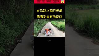 रोड पर आया टाइगर😱🙀shortvideo facts art subscribeMRRUDRA929 youtubeshorts fanedit viralvid [upl. by Tab]