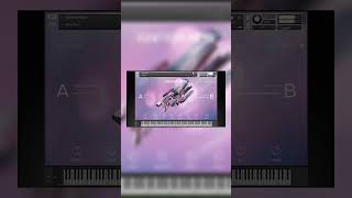 【Limited Time Free】49→0 Best Free Piano Kontakt Libraries Ignition Keys by Native Instruments [upl. by Damalus378]