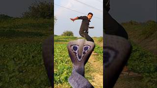 Anaconda Snake in real life P16shortssnake python snakes naginanaconda bigsnake viralvideo [upl. by Lenor]