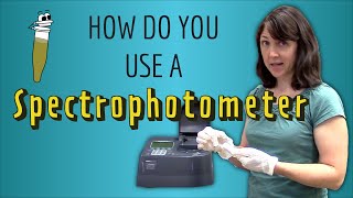 How do you use a Spectrophotometer A stepbystep guide [upl. by Avehstab]