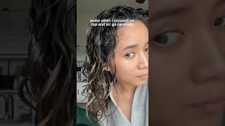 How to scrunch for minimal frizz  Curly Wavy hair tutorial [upl. by Evod706]