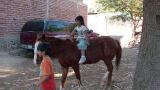 Hijos de quotLa Estancitaquot Jalisco Mexico [upl. by Otsuj]