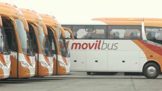 Pucallpa  nuevo destino Movil Bus [upl. by Llerehs303]