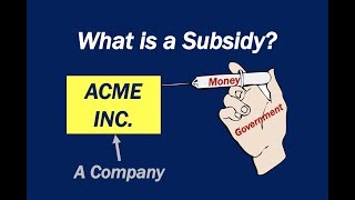 What is a Subsidy [upl. by Antin]