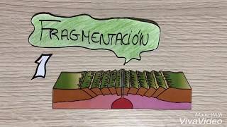 CICLO DE WILSON Rift Dorsal Oceánica Expansión Subducción y Obducción [upl. by Attekal702]