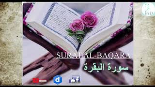 SURAT ALBAQARA Sura de quotLa Vacaquot Corán Karim سورة البقرة القرآن الكريم [upl. by Ardnama]