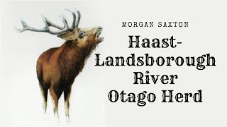 The Records Club Morgan Saxton MacFarlane River Haast Landsborough River System Otago Herd 1994 [upl. by Buiron]