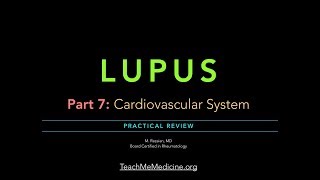 Lupus Part 7 Cardiovascular System [upl. by Eenet]