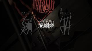 MGŁA  AGE OF EXCUSE II short bass tagelharpa cover mglaband nordicfolk tagelharpa blackmetal [upl. by Nored]