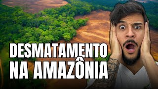 Ocupação e Desmatamento na Amazonia  Geobrasil [upl. by Shafer608]