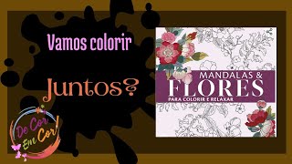 Colorindo Mandalas e flores com Brutfuner 180 cores [upl. by Axe]