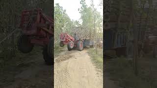 tractor 🤯bhojpuri farming kisan tractor viralvideo newvideo [upl. by Millar]