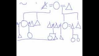 Kinship Diagram help [upl. by Lledniuq]