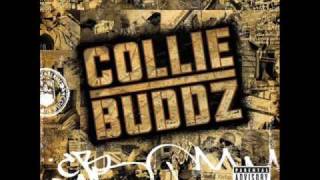 Collie Buddz Come Around Instrumental [upl. by Assadah]