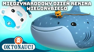 Oktonauci  🐋 Międzynarodowy Dzień Rekina Wielorybiego 🦈  Kompilacja  Całe odcinki [upl. by Hemphill]