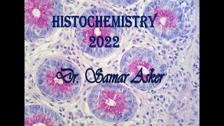 Introduction to histochemistry [upl. by Grefe71]