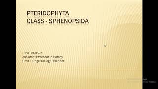 Pteridophyta  Class  Sphenopsida [upl. by Sherar]