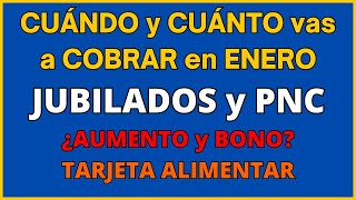 📅 CUÁNTO y CUÁNDO COBRO en ENERO de 2024 💰 JUBILADOS y PNC 💰 AUMENTO y BONO 💰 FECHAS de PAGO ANSES 💰 [upl. by Aneehc209]