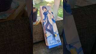 Unboxing VOLKS Dollfie Dream Boy KAITO 💙 [upl. by Trueblood]