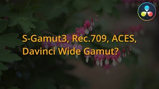 SGamut3 ACES Rec709 Davinci Wide Gamut 이게 도대체 뭘까 [upl. by Lubin140]