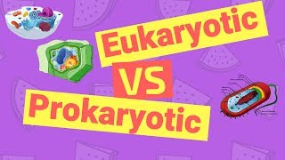 Difference Between Prokaryotic and Eukaryotic Cells [upl. by Pfosi967]