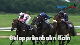 Galopprennbahn in Köln  RheinEifelTV [upl. by Aihsoj]