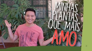 Minhas 10 plantas preferidas [upl. by Eward]