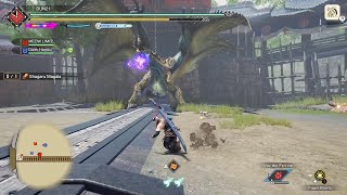 MH Rise Sunbreak  Shagaru Magala Hunt  Duo LS PS5 [upl. by Ehsom466]