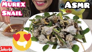 ASMR Murex Snail Seafood eating sounds [upl. by Mlohsihc514]