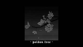 grouper  poison tree INSTRUMENTAL  SLOWEDREVERB [upl. by Eseyt]