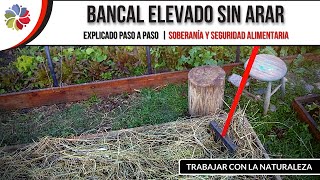 🔨 Como hacer BANCALES ELEVADOS  SIN ARAR LA TIERRA  Bancal de madera explicado paso a paso [upl. by Savart35]