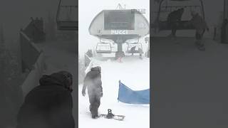 Timberline Lodge started its partial opening bringing crowds on Veteran’s Day [upl. by Blackington]