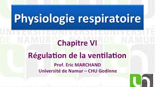 Video 81 Régulation ventilatoire [upl. by Gwyneth]