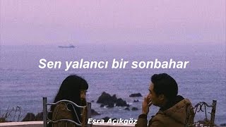 Aşkın Nur Yengi  Yalancı Bahar Lyrics [upl. by Aidile944]