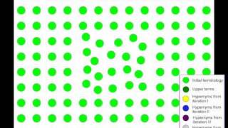 A Graphbased Algorithm for Inducing Lexical Taxonomies from Scratch [upl. by Ilhsa]