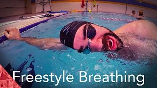 4 Breathing exercises for smooth freestyle swimming Progressions Beginners [upl. by Thia]