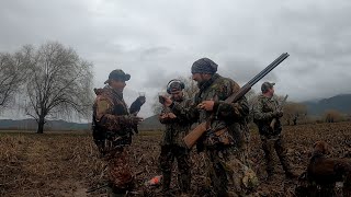 Caceria de tortolas con lluvia y cotazo temporadá 2022 chile [upl. by Gaillard]