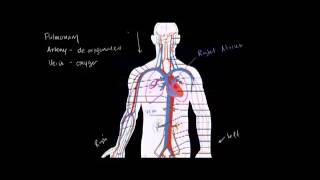 Mzunguko wa Damu na Moyo  Circulatory System and the Heart [upl. by Annairdna]