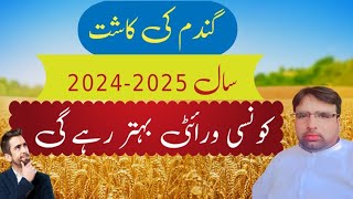 Wheat CultivationWhich Verity Will perform betterGhulam Shabeer Velogs [upl. by Olenta]