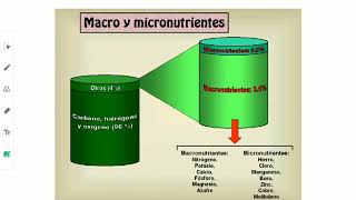 Nutrición mineral macronutrientes y micronutrientes [upl. by Wernsman483]