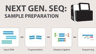 2 Next Generation Sequencing NGS  Sample Preparation [upl. by Machutte569]