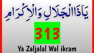 Ya Zaljalal Wal ikram 313 Time  یَاذَاالْجَلَالِ وَالْاِكْرَامِ  Powerful Zikr  Best Hope [upl. by Weldon]