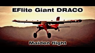 GIANT DRACO Wilga 20m Smart BNF Basic with AS3X and SAFE Select Maiden flight [upl. by Ettevad594]