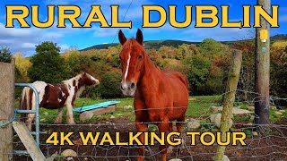 Rural Dublin 4K Walking Tour Ireland Autumn 2023 [upl. by Herby]