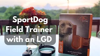 SportDog Field Trainer 425x Review with a Karakachan LGD [upl. by Ellerrehc398]