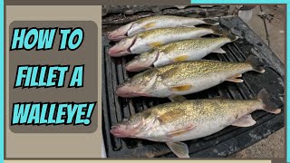 HOW TO FILLET A WALLEYE Boneless [upl. by Hopkins]