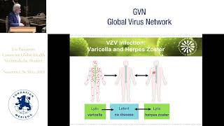 Virushost interactions in herpesvirus infections of human nervous tissue [upl. by Savitt]