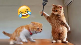 Funniest Animals 2023 😂 Funniest Animal Tales 😺🐶 [upl. by Neva882]