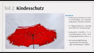 KJSG Was ist neu Kindesschutz Teil 2 [upl. by Pineda]