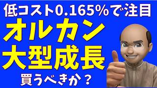 【アムンディ】オルカン大型成長株は買うべきか？ [upl. by Mccollum]